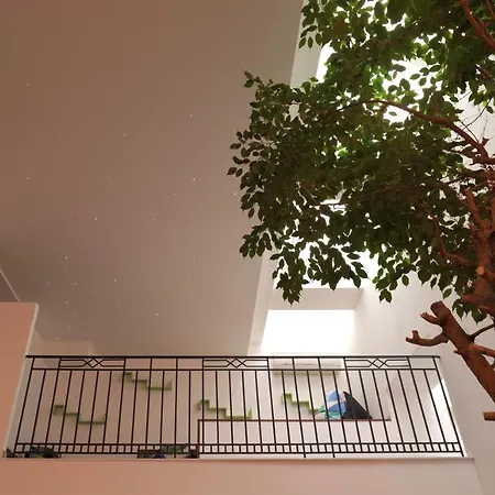 Hostel Old Town
